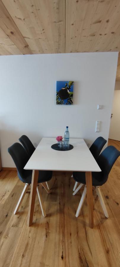 Ferienwohnung Alvino 腓特烈港 外观 照片