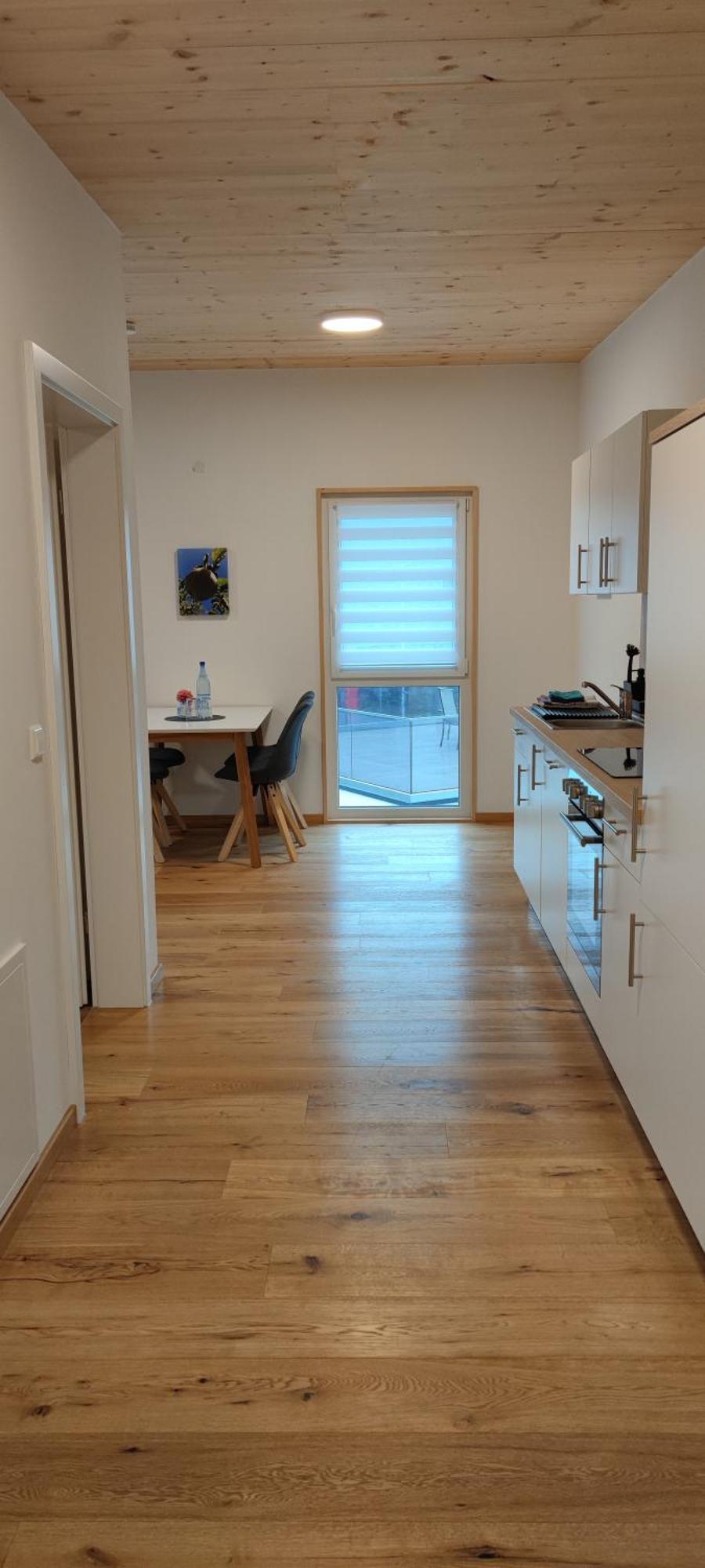 Ferienwohnung Alvino 腓特烈港 外观 照片